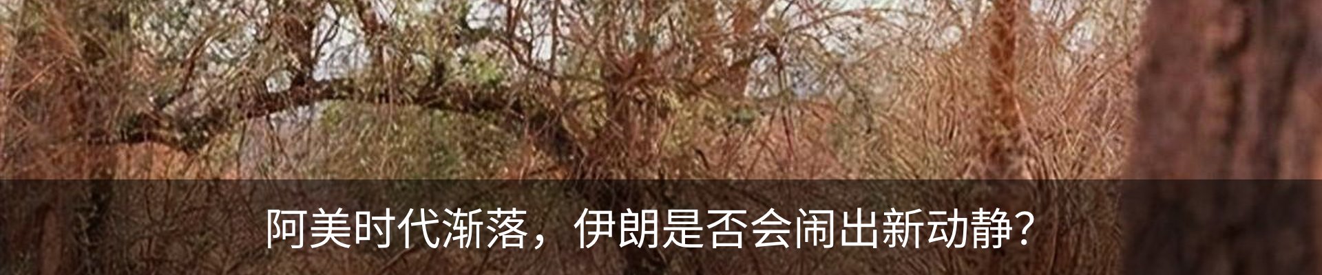内页banner
